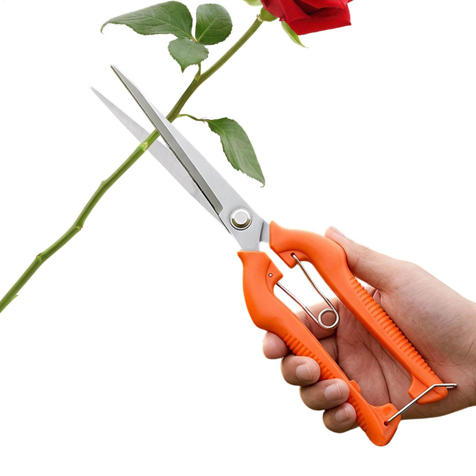 Bonsai Garden Rake - Новые профессиональные садовые ножницы для обрезки