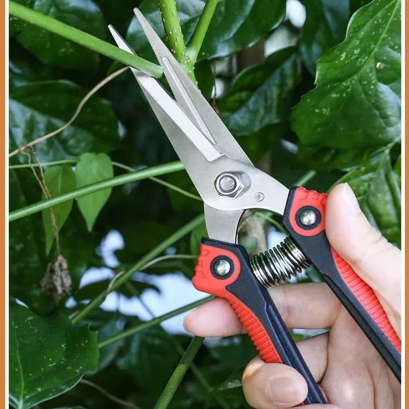Секатор NEWSHARK из нержавеюще – обзор и цена Bonsai Garden Rake
