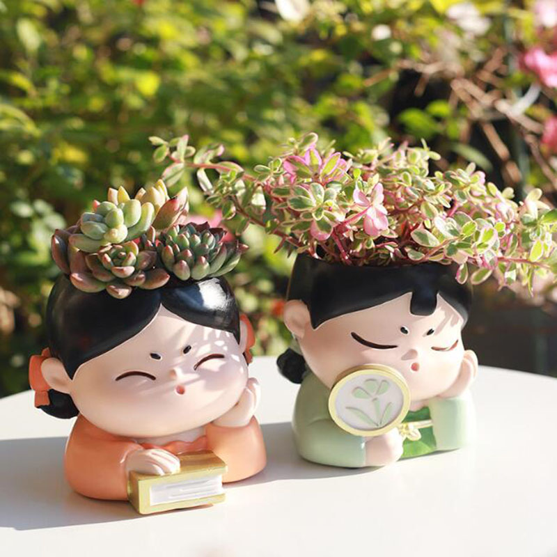Смола династии Тан женские дет – обзор и цена Bonsai Garden Nursery