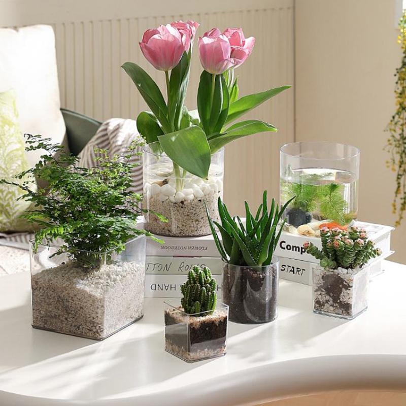 Квадратные/круглые прозрачные  – обзор и цена Bonsai Garden Nursery