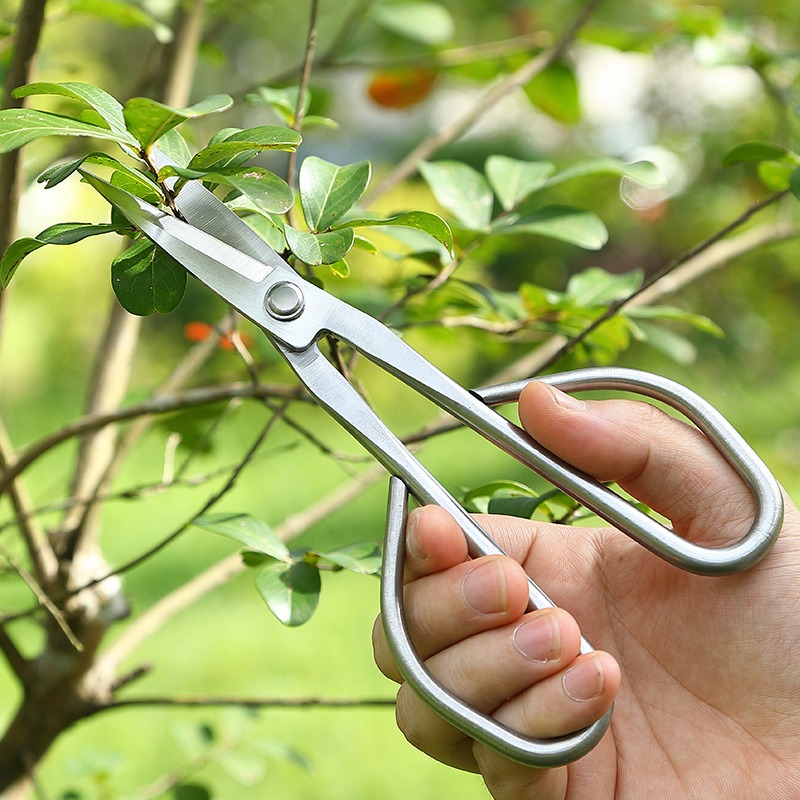 Ножницы для нежных листьев, ин – обзор и цена Bonsai Garden Rake