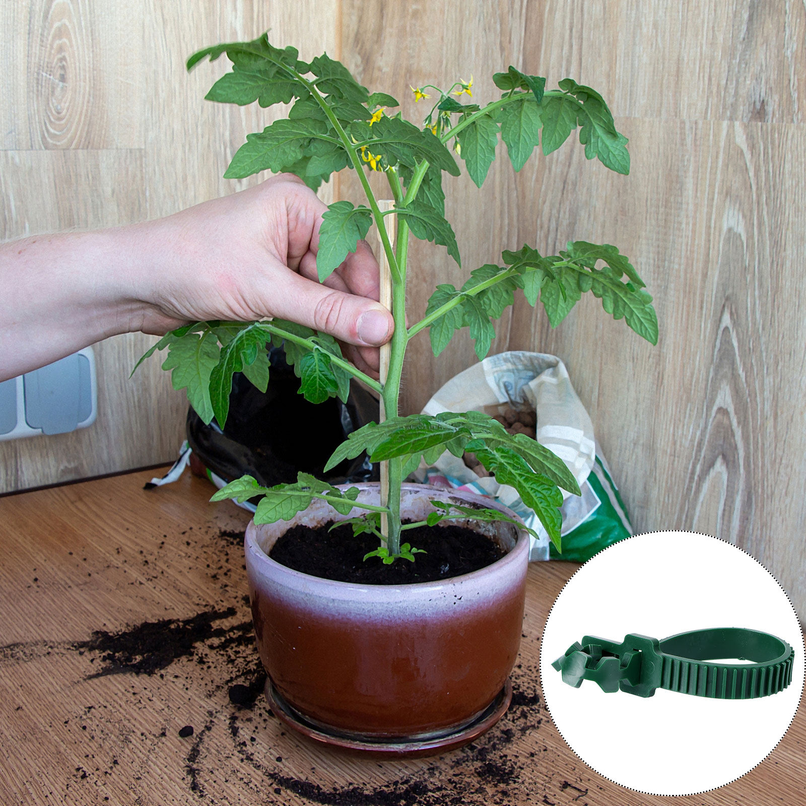 20 шт. зажимов для фиксации ра – обзор и цена Us Bonsai Garden